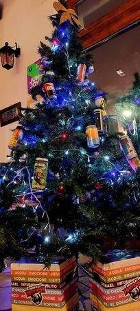 Alberi splendenti e lattine di birra: ecco le creazioni dei lettori del Tirreno