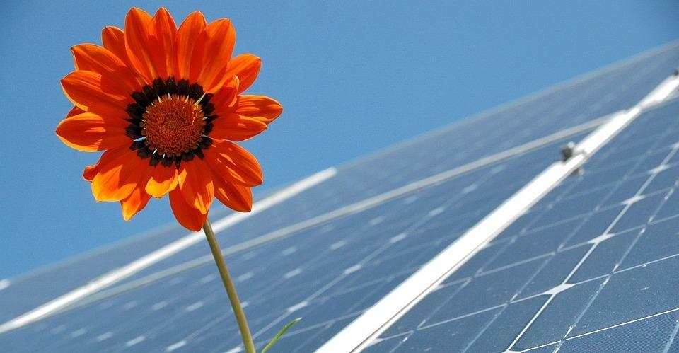 Arriva l’agrivoltaico tentazione energia tra opportunità e rischi 