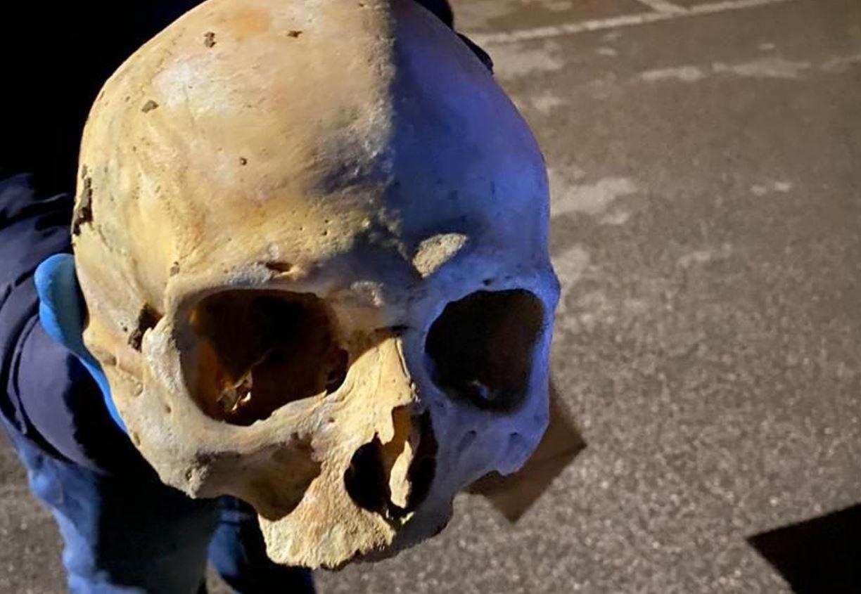 Ferrara, teschi umani ritrovati: provengono dall'università