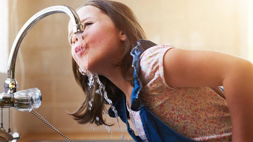 Modena. «L’acqua del rubinetto? Non all’asilo Sono troppo alti i valori di nitrato»