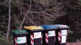 Organico, spariti i raccoglitori È un rebus la gestione dei rifiuti
