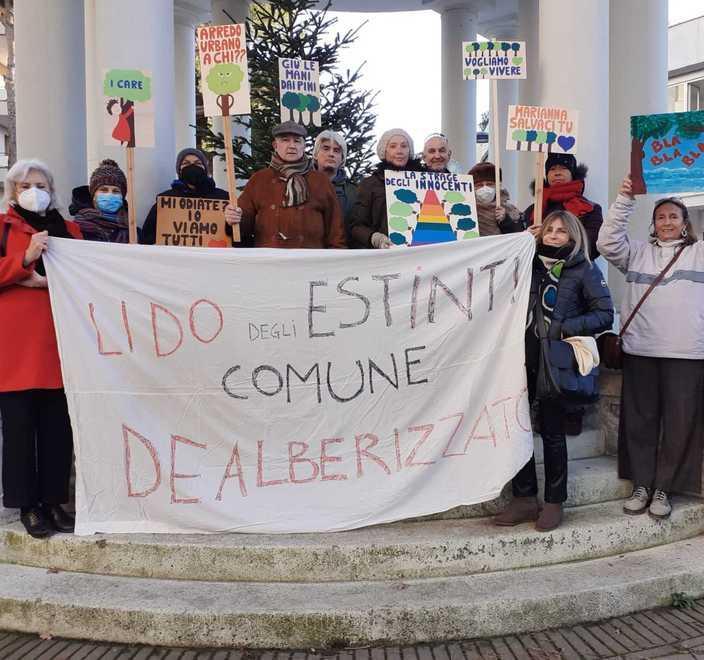 L’abbattimento degli alberi adesso approda in Parlamento