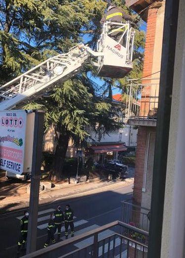 Si staccano calcinacci dal cornicione vicino alle strisce pedonali 