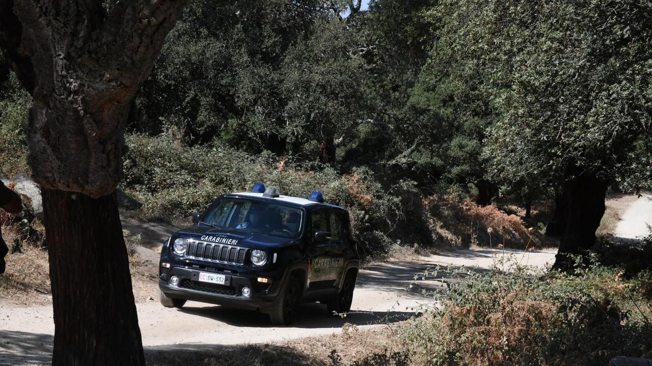 Allevatore ucciso in campagna: arrestati due fratelli di Orune