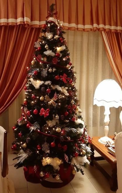 Le foto degli alberi da tutta la Versilia E c’è anche quello di una contrada 