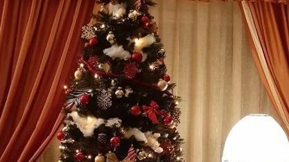 Le foto degli alberi da tutta la Versilia E c’è anche quello di una contrada