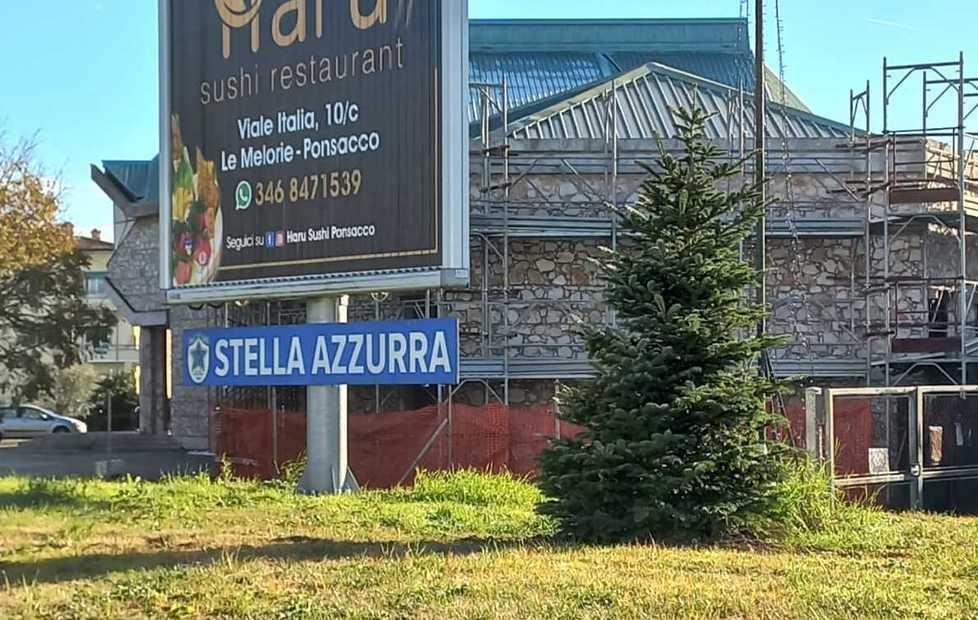 Piantati undici nuovi abeti