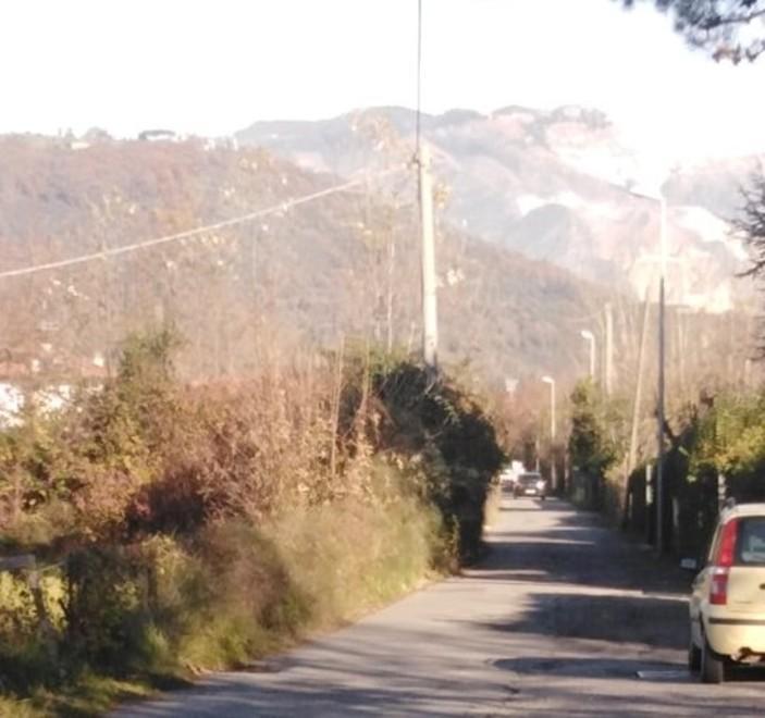 Strada invasa da rovi e erbacce Sos dai residenti di via dei Corsi