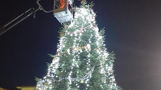 Appesi al grande albero i lavori fatti dagli alunni