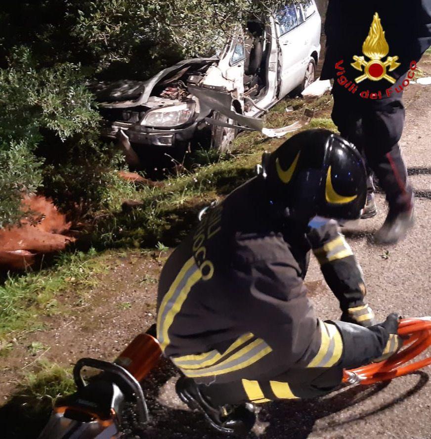 Auto investe un cavallo sulla provinciale 26: due feriti e l'animale ucciso