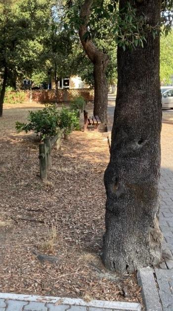 Marina est si conquista un nuovo parco giochi
