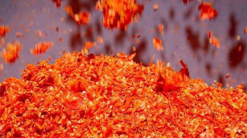 Che sorpresa dagli scarti Le buccette di pomodoro trasformate in energia e mangime per animali