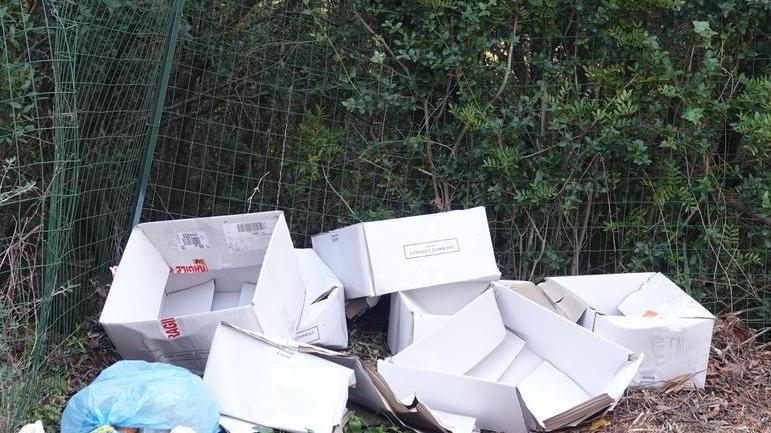 Sono arrivati i cassonetti intelligenti «Lontani dalle case, sporcizia ovunque»
