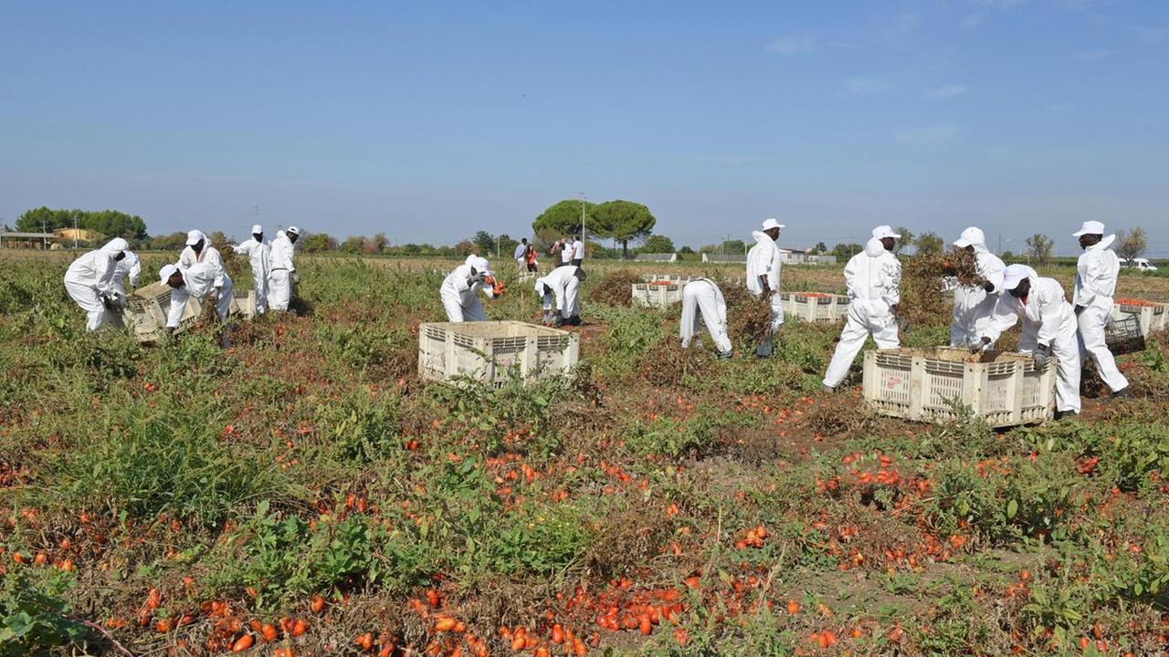 Cinque euro l’ora una paga da fame per una intera giornata