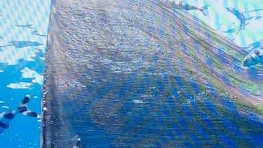 La vita al timone per salvare il mare e regalare un futuro migliore