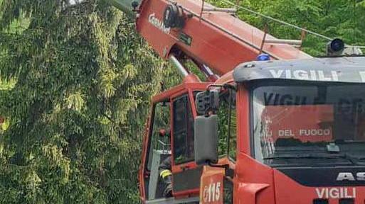 Castelfranco. Il camion nel fosso, recupero complicato L’autista resta ferito
