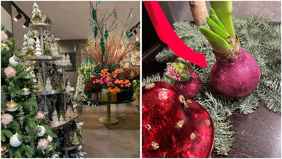 Alberi piccoli, palline bouquet e il bulbo ricoperto di cera che si prepara a fiorire proprio il giorno di Natale