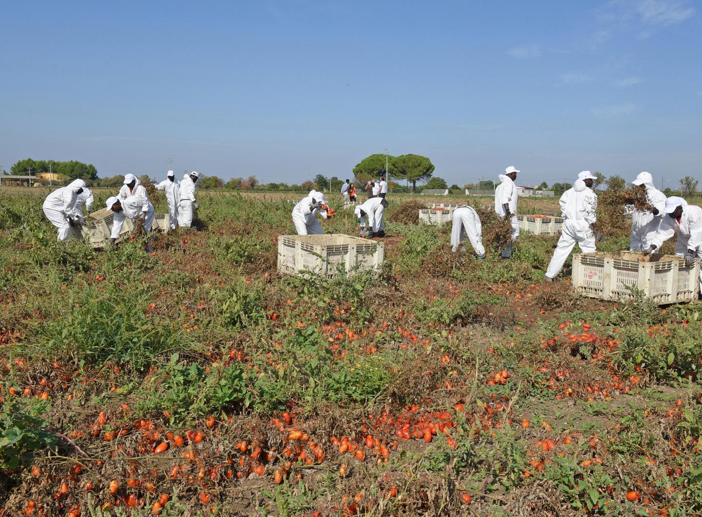 L’allarme dei sindacati: «Sfruttamento diffuso» 