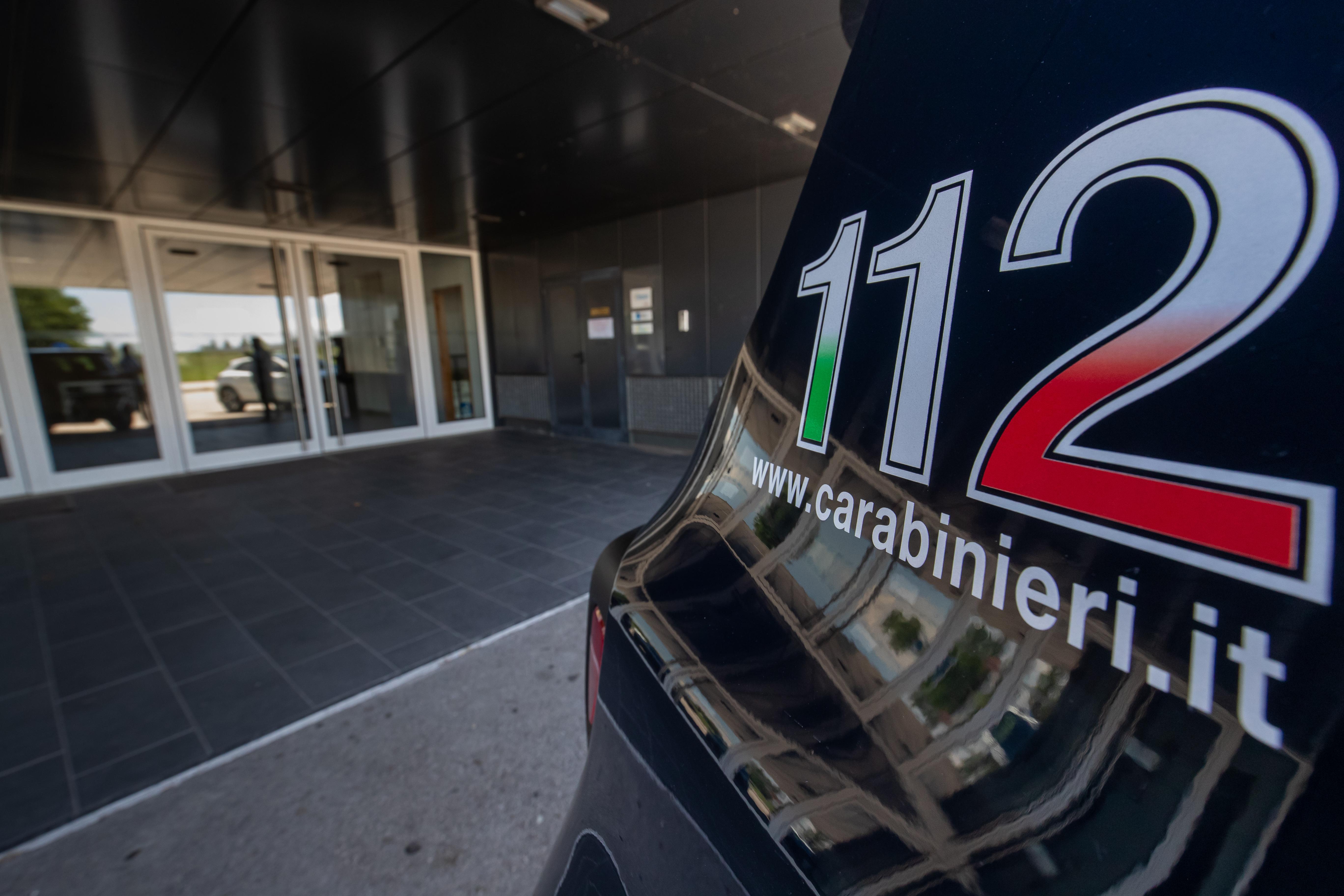 Statale Romea, auto investe daino e lo uccide