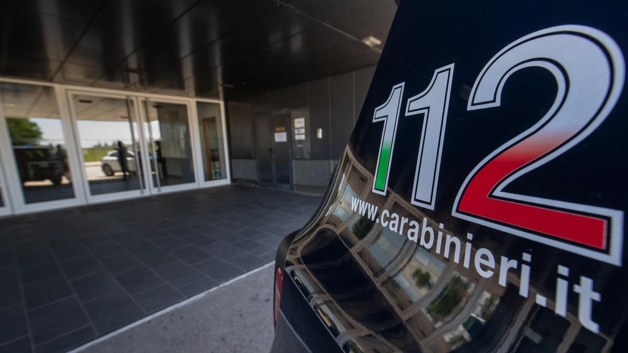 Statale Romea, auto investe daino e lo uccide