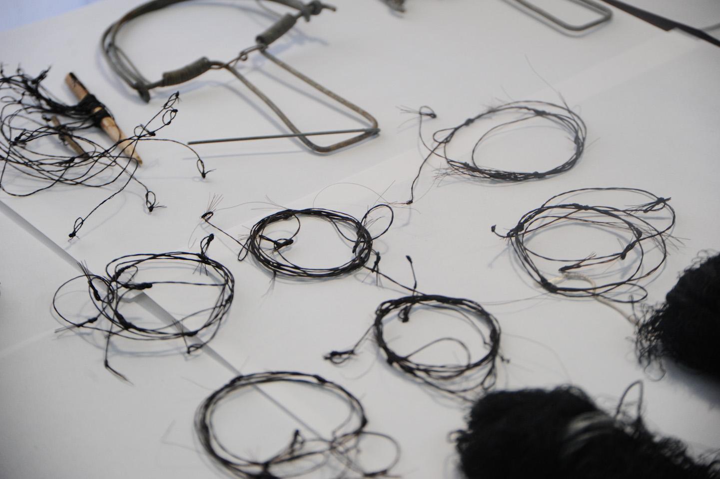 Lotta ai bracconieri da Molentargius a Capoterra: 7 denunce