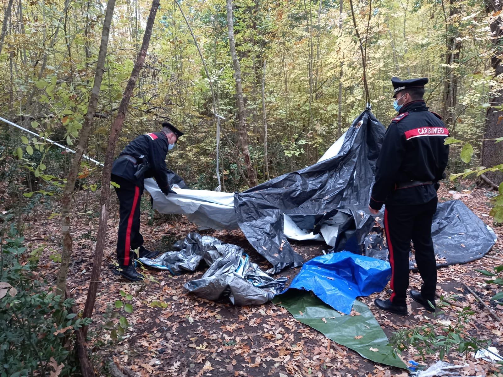 La tendopoli nel bosco di Scarlino smantellata dai carabinieri: era il rifugio degli spacciatori