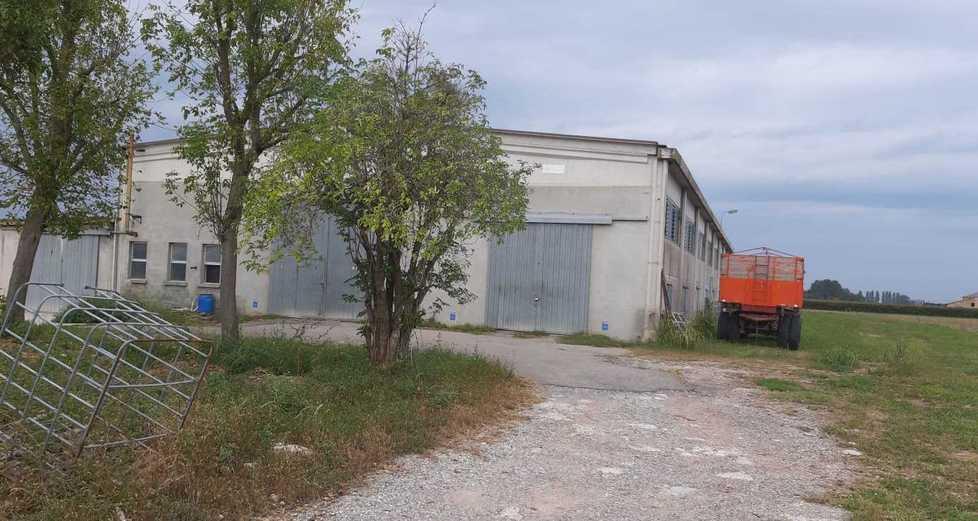 Ladri di trattori: 43 anni di carcere. Condanne pesanti per i nove capi 