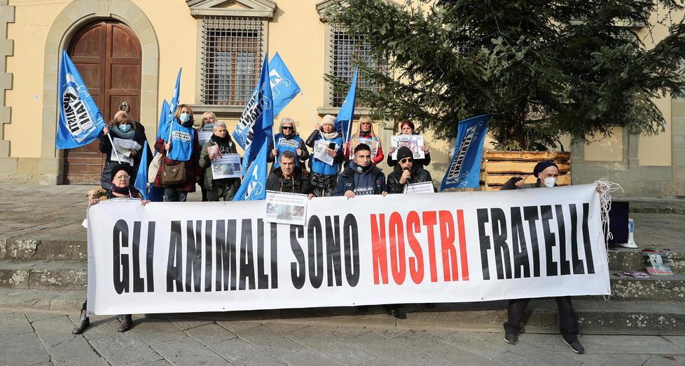 «In quel video, Pilù picchiata e torturata dal mio ex fidanzato» 