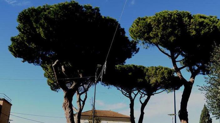 Telecamere, affidati i lavori per predisporre le postazioni
