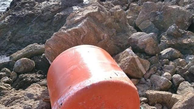 Una boa sugli scogli della spiaggia di Reale