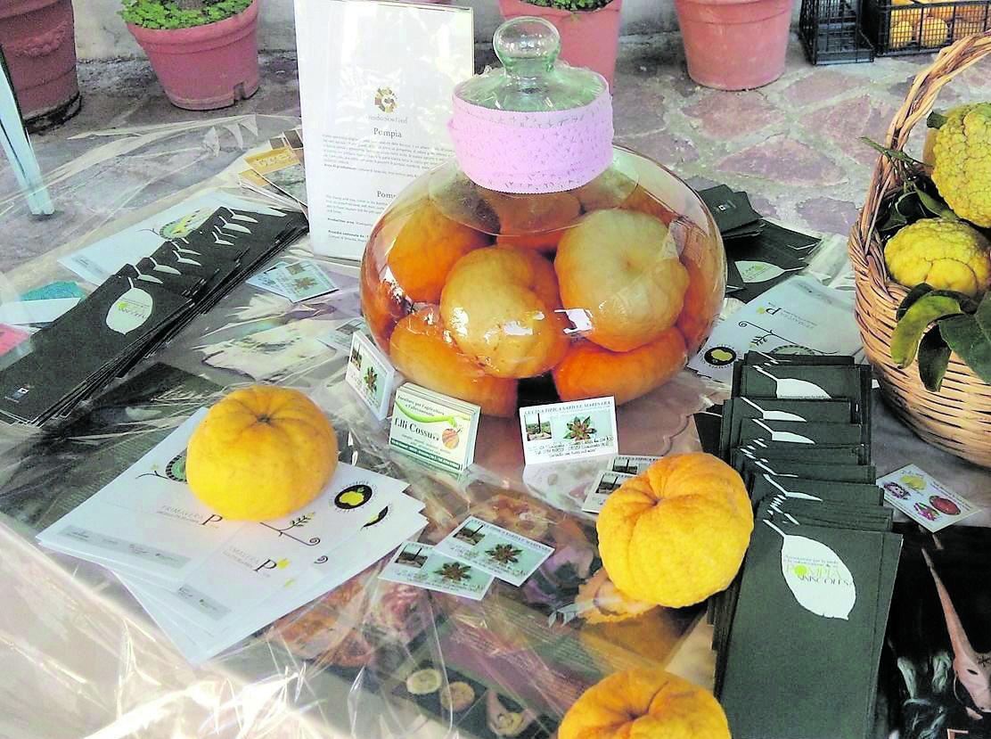 Gara d’appalto per coltivare pompia 