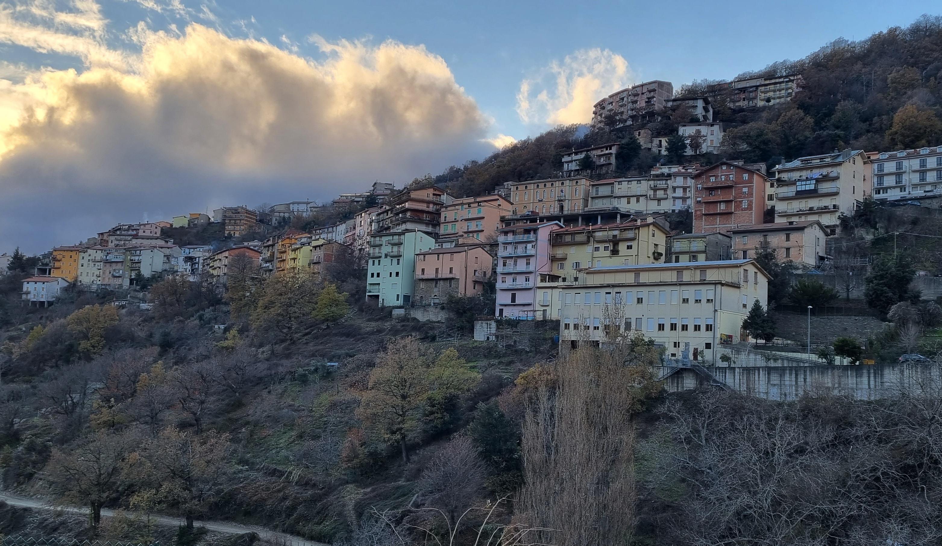 Peste suina, a Desulo abbattuti 41 maiali non registrati