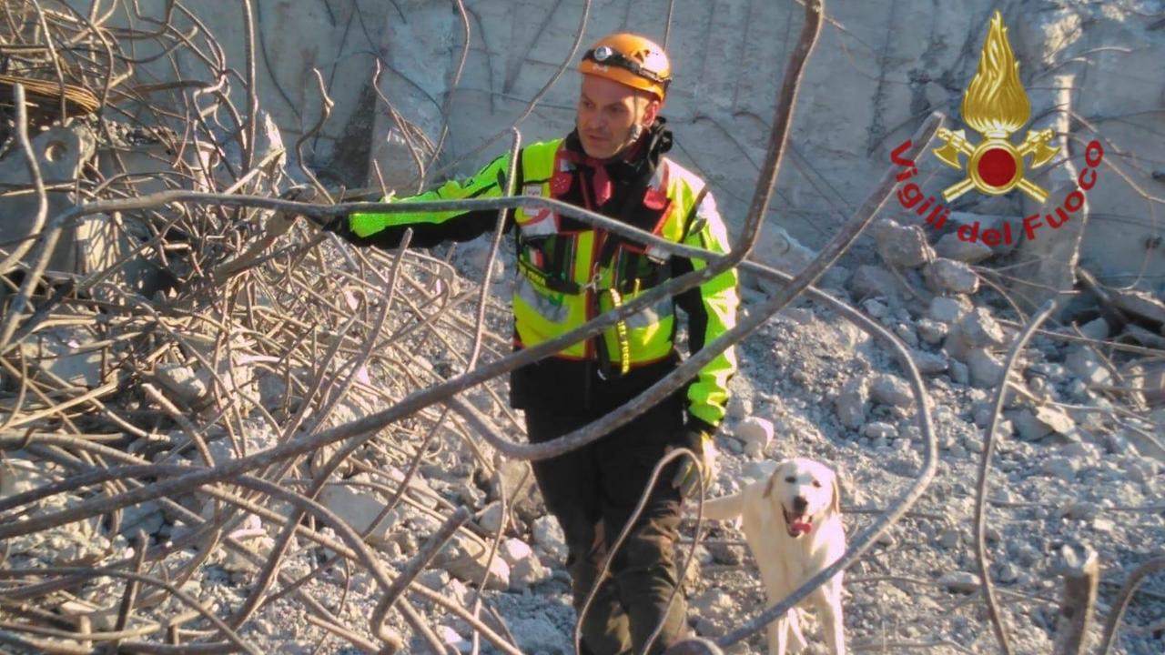 In pensione Maya, il labrador eroe dei vigili del fuoco reggiani