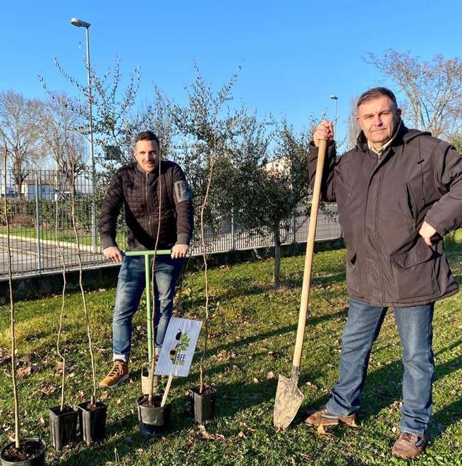 Stanziati 70mila euro per la manutenzione del patrimonio arboreo