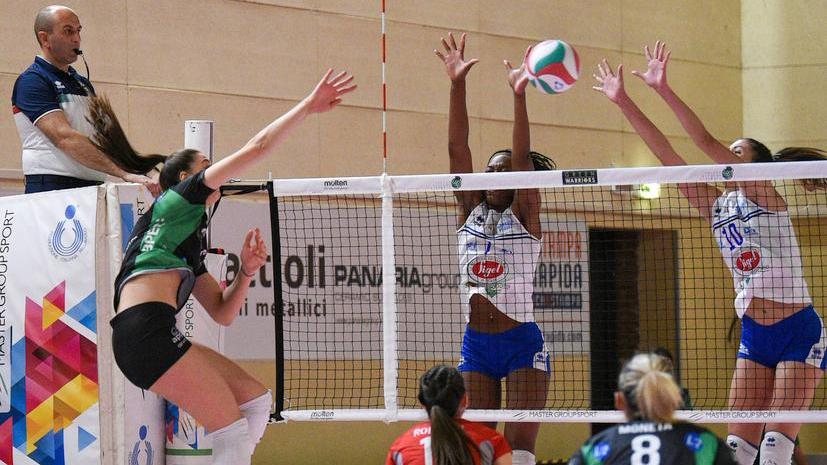 Green Warriors domani a Macerata