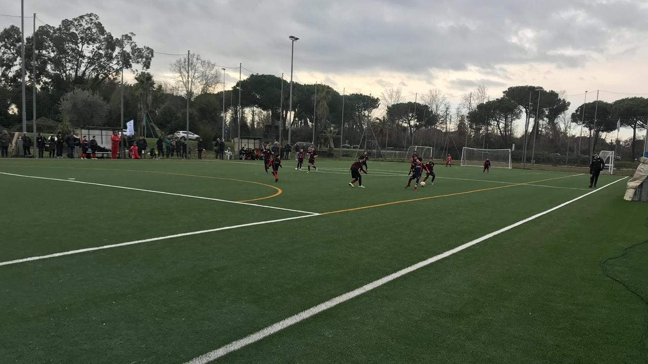 Il campo della Pergolaia