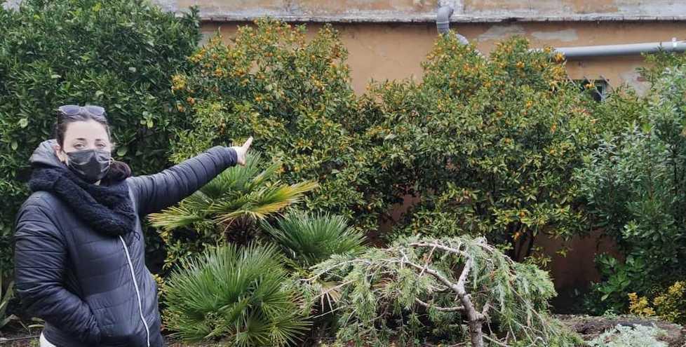 Sara Costa indica la finestra da cui sono entrati i ladri