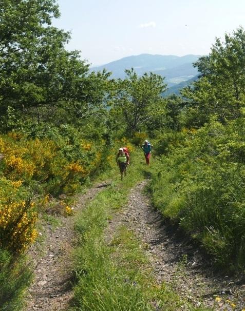 Da Quattro Castella alla Lunigiana lungo il Sentiero dei Ducati 