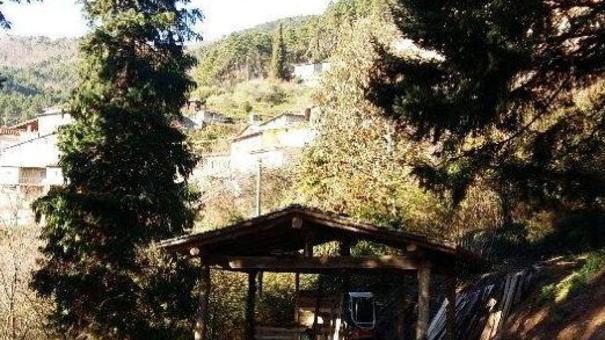 La Natività ha trovato una nuova collocazione