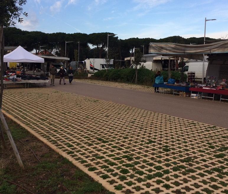 Spariti 170 alberi mai ripiantati Bene piste ciclabili e spiaggia 