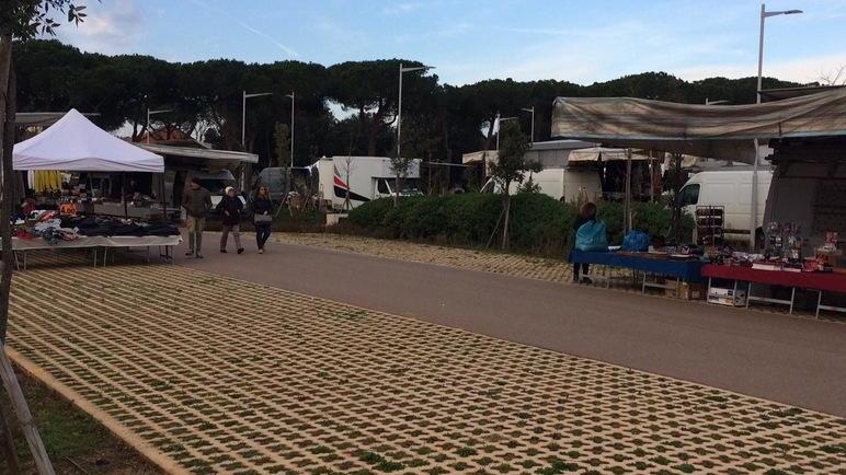 Spariti 170 alberi mai ripiantati Bene piste ciclabili e spiaggia
