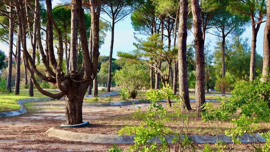 Ciclilandia, affidati alla Slesa i lavori di riqualificazione