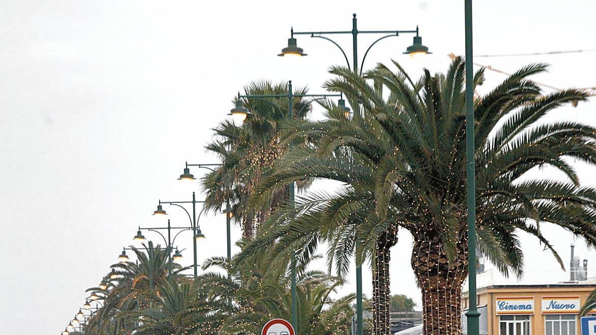 Cinquanta nuove palme in arrivo al Forte, ecco come sarà trasformato il lungomare