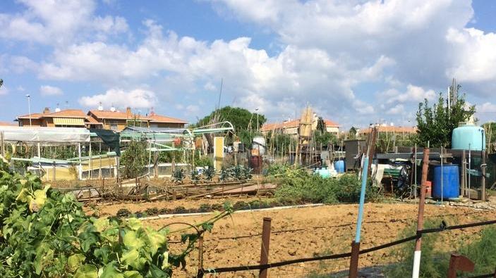 «Realizziamo orti urbani da affidare ai pensionati»