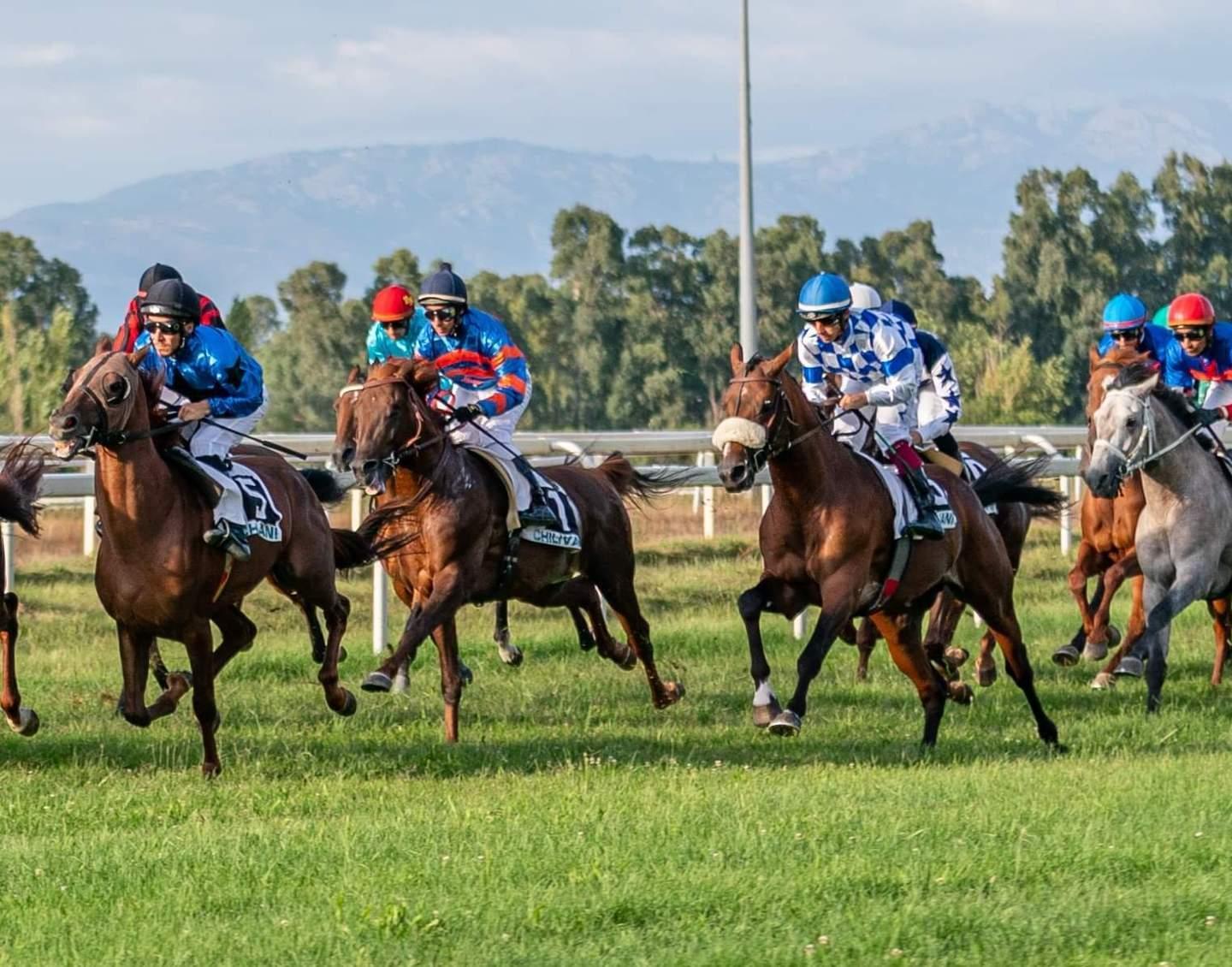 Ippodromo, centenario blindato 