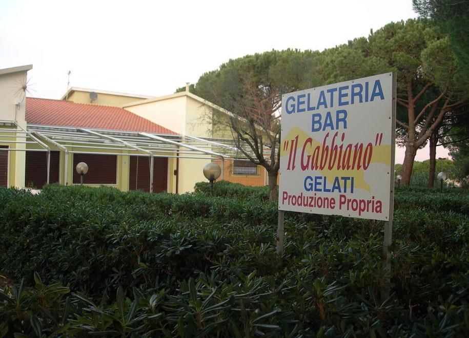 Delfino Blu, parte il bando per l’assegnazione 