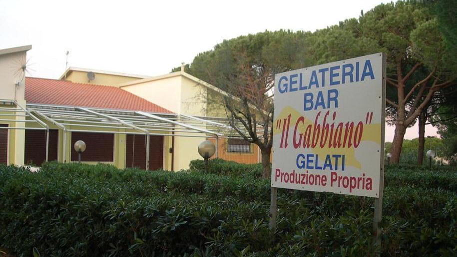 Delfino Blu, parte il bando per l’assegnazione