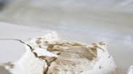 Il lievito e i suoi segreti finiscono on line, ora mai più errori