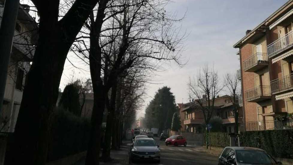 Sassuolo. Un condominio nel mirino: ladri in case, auto e garage
