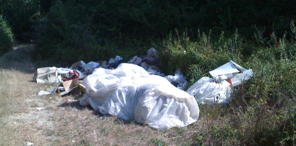 Rimossa la discarica in via del Rogio Scattano le denunce